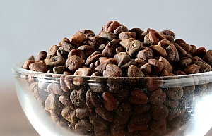 Annatto