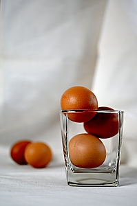 Eier