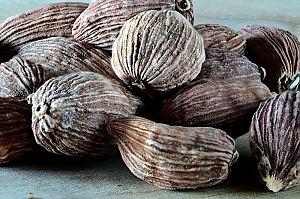 Schwarzer Kardamom