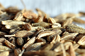 Kreuzk&uuml;mmel