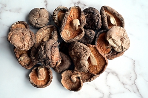 Shiitake Pilz