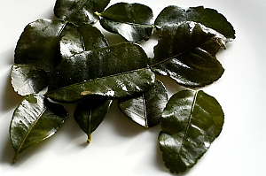 Kaffirlimette