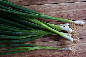 Fr&uuml;hlingszwiebel