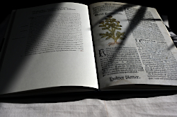 Auswahl Kochb&uuml;cher